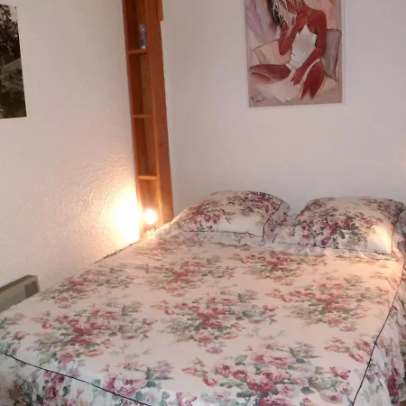 Avec Vue Montagne A 38 M² Enchastrayes